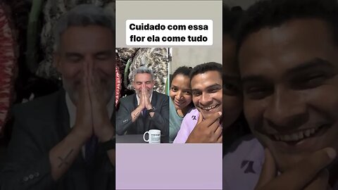 Bucefloris rosa-sinensis @reels #shorts