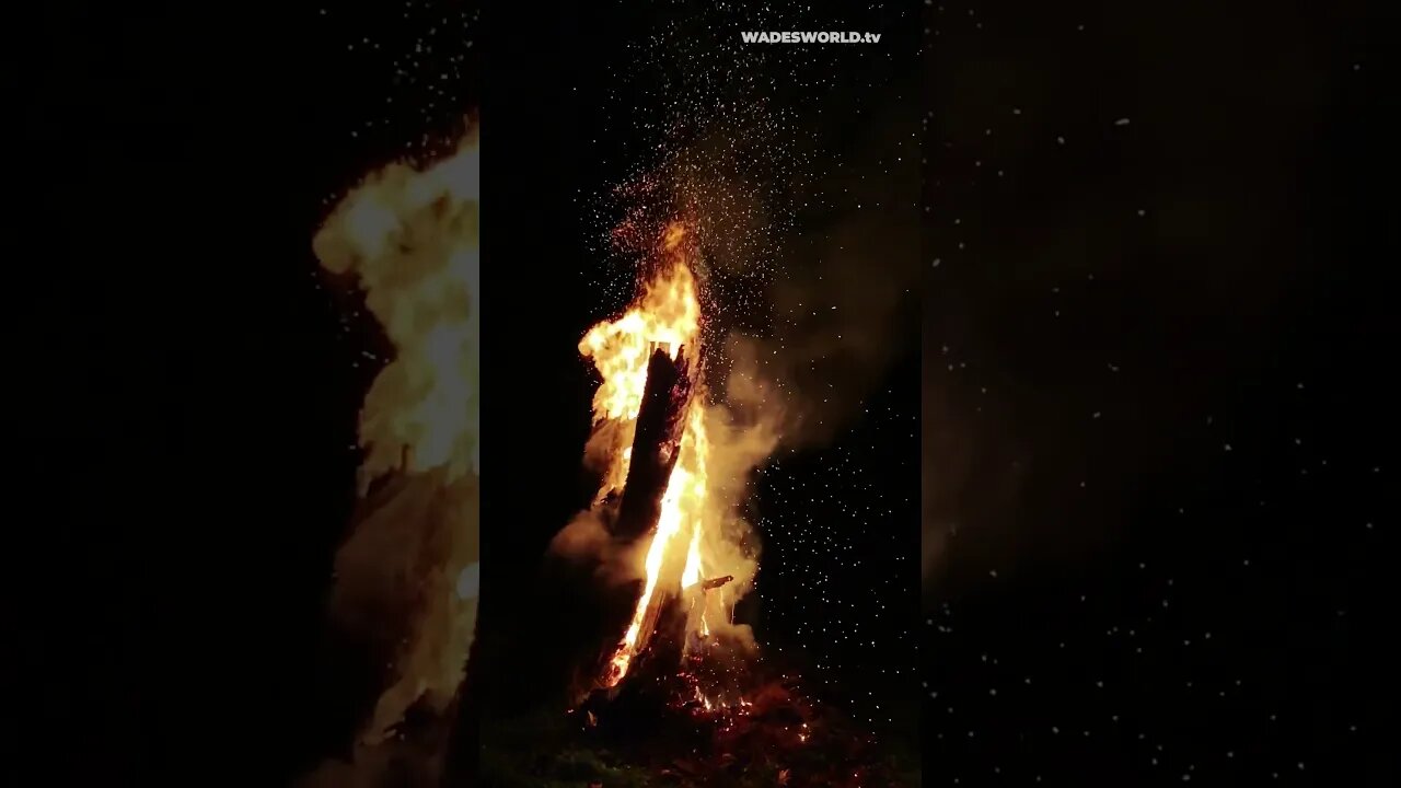 🧘‍♀️RELAXING🧘‍♂️ Campfire in Slow Motion 🏕️ #shorts #campfire #slowmotion