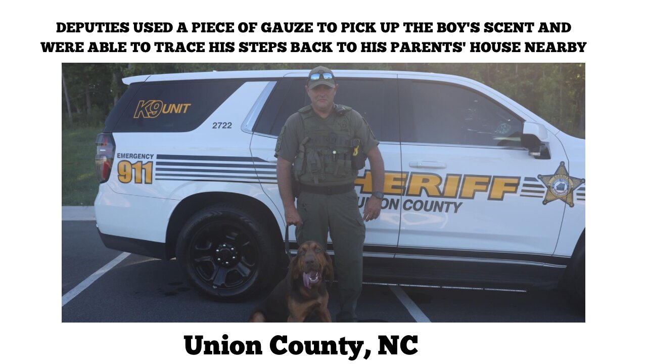 Boy Found Wandering Down North Carolina Road Alone, K-9 Unit 'Reverse' Tracks His Home Nearby