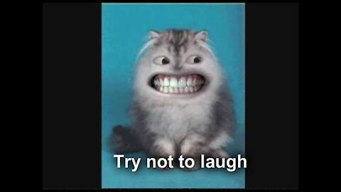 TRY NOT TO LAUGH CHALLENGE #22