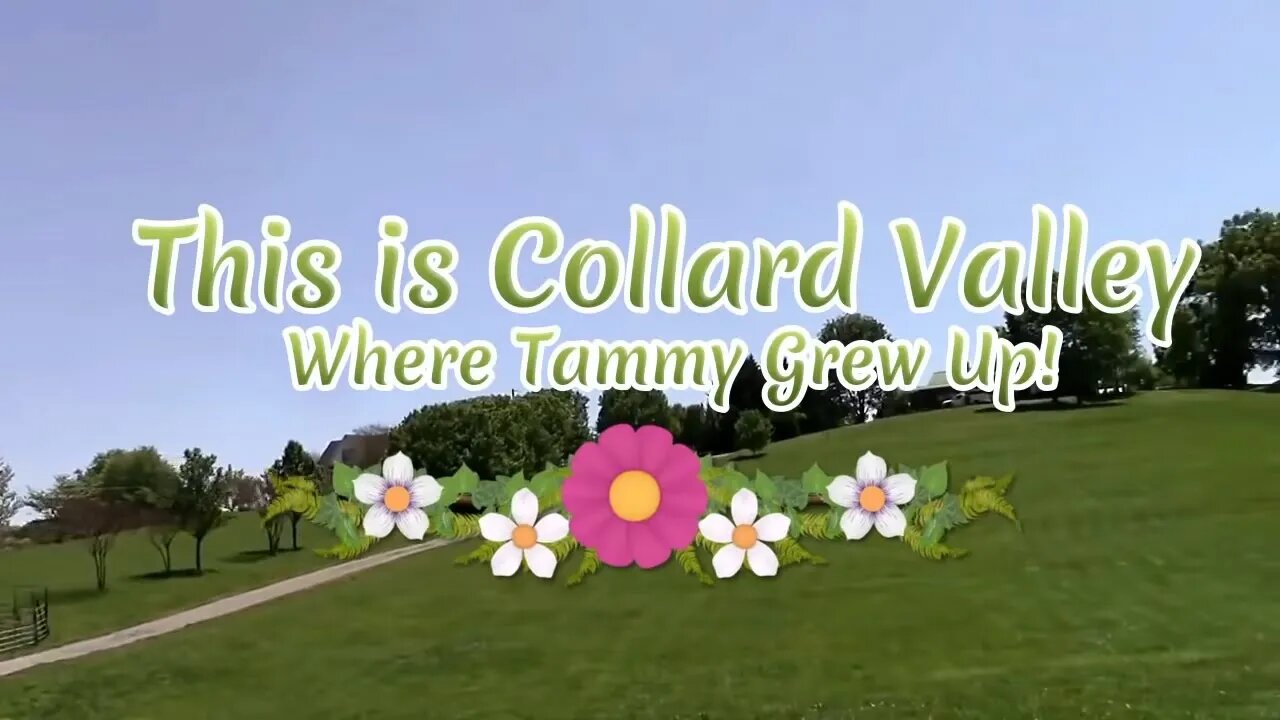 See where Tammy grew up!