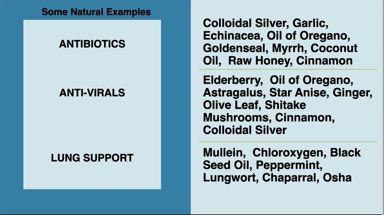 Dr. Jana Schmidt | “You May Have In Your Pantry Of Natural Antibiotics, Anti-virals, Lung Support”