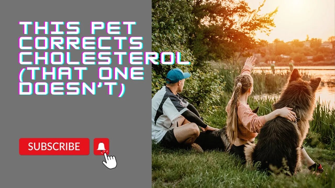 This Pet Corrects Cholesterol (that one doesn’t)
