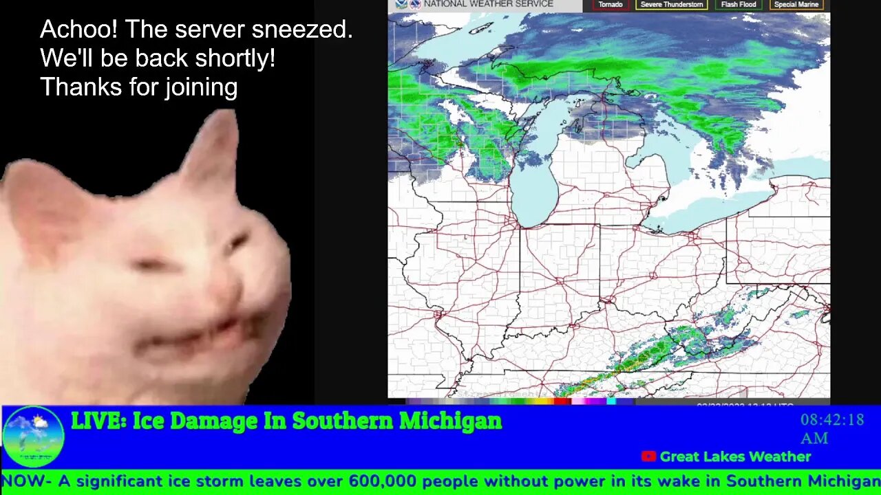 LIVE: Ice Storm Damage in Southern Michigan