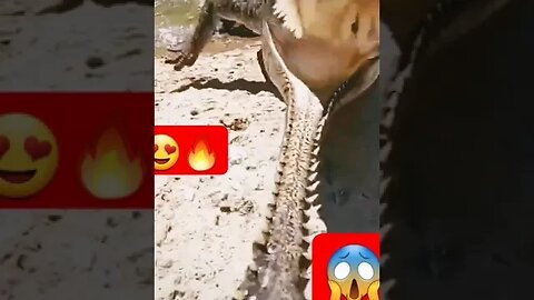 The evil is coming 😱🔥🥸 #shorts #viral #crocodiles