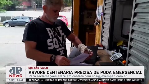 Moradores pedem poda emergencial de paineira centenária nos Campos Elíseos | SOS São Paulo