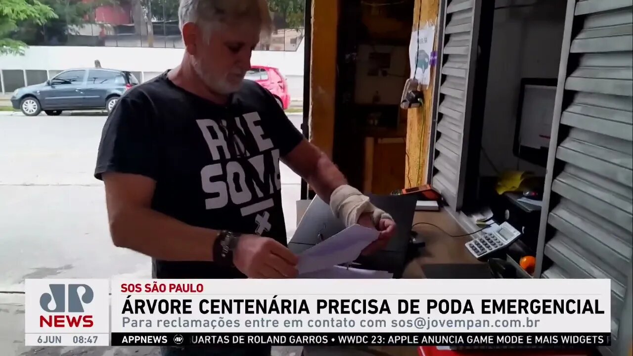 Moradores pedem poda emergencial de paineira centenária nos Campos Elíseos | SOS São Paulo