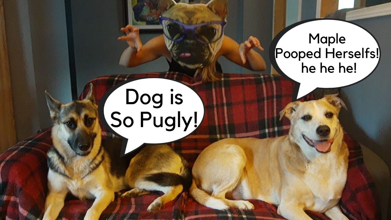 Pug Mask Prank On My Dogs (Part 2)