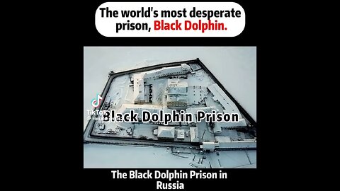 THE MOST TERRYFING PRISON - BLACK DOLPHIN IN RUSSIA