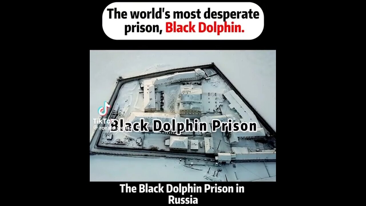 THE MOST TERRYFING PRISON - BLACK DOLPHIN IN RUSSIA