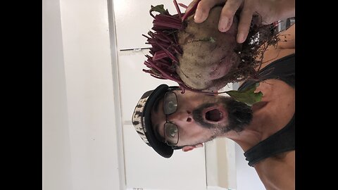 Best Beet harvest of my life