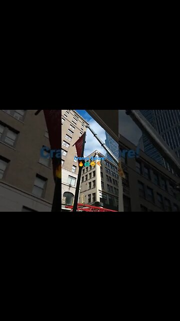 Cranes Galore🍕🌞🦚🔥