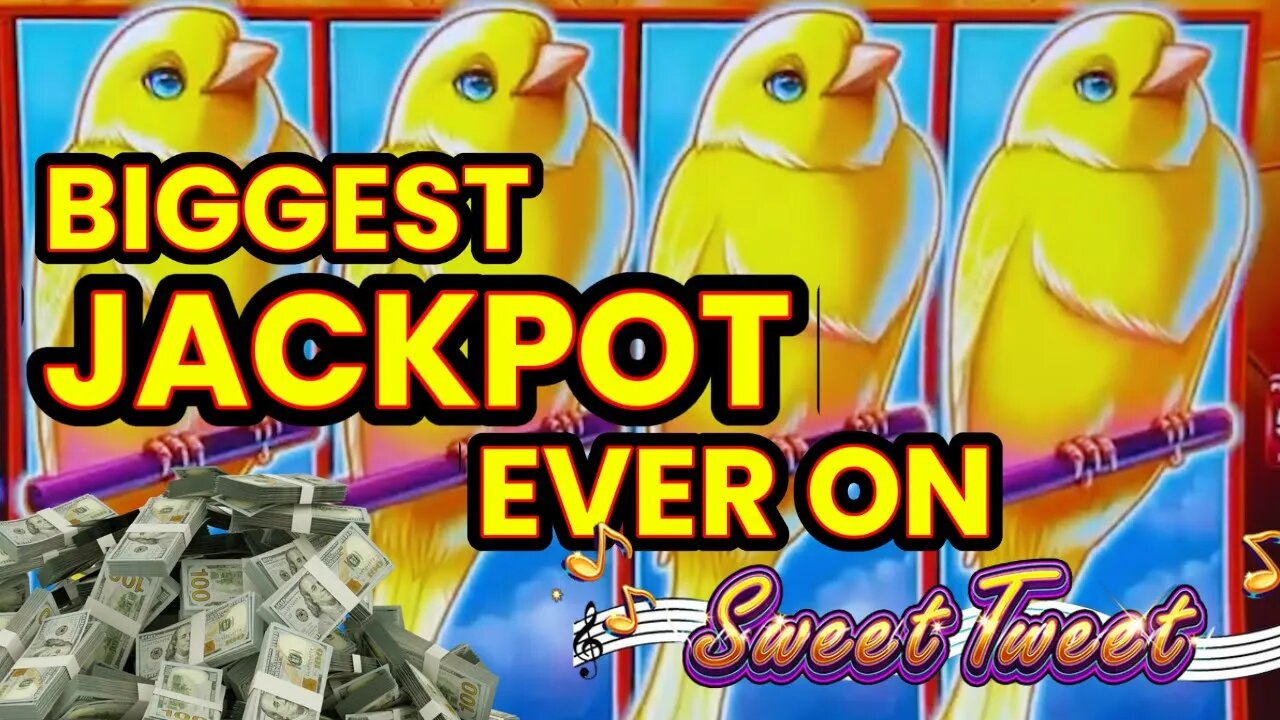 LEGENDARY HIGH LIMIT SWEET TWEET JACKPOT STREAK!