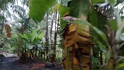 meu pedacinho de chão meu tudo obrigado Deus....