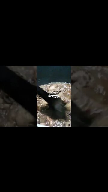 Chicken yakhni pulao recipe highlights #shorts #ytshorts #viral #viralreels #trending #iftarspecial