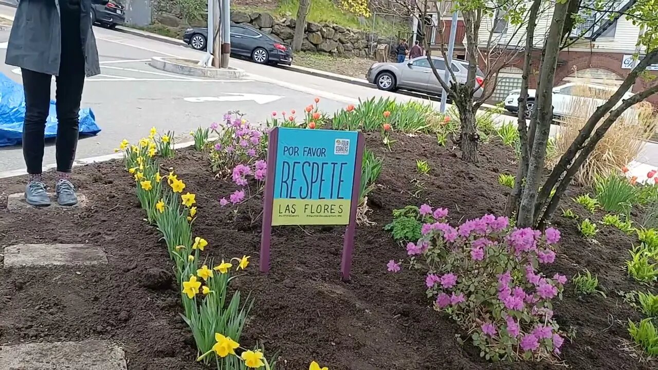 fix it up the flower garden near the Four Corners Commuter Rail station