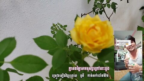 មនុស្សក្រៅបេះដូង Mnus Krao Bes Dong Covered by ពូធី កាត់សក់ប៉ោយប៉ែត