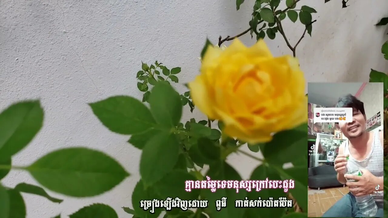 មនុស្សក្រៅបេះដូង Mnus Krao Bes Dong Covered by ពូធី កាត់សក់ប៉ោយប៉ែត