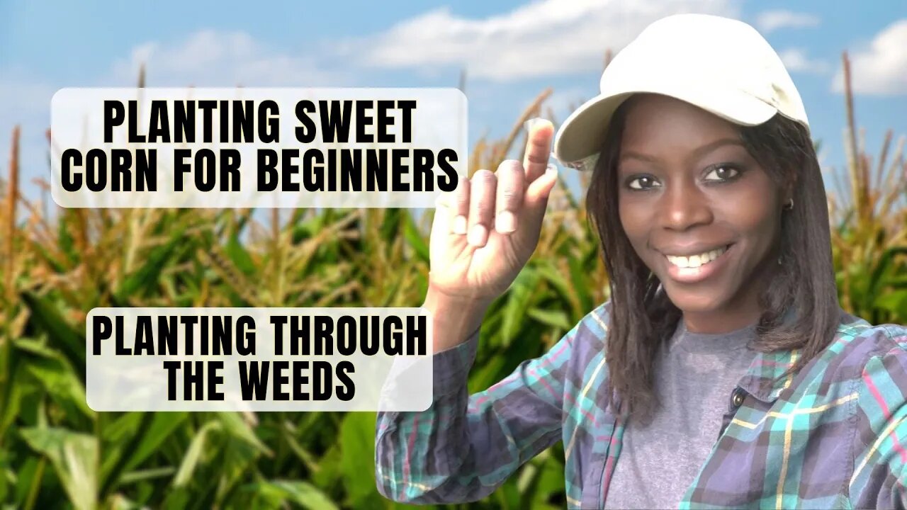 Planting Corn & A Garden Full Of WEEDS!