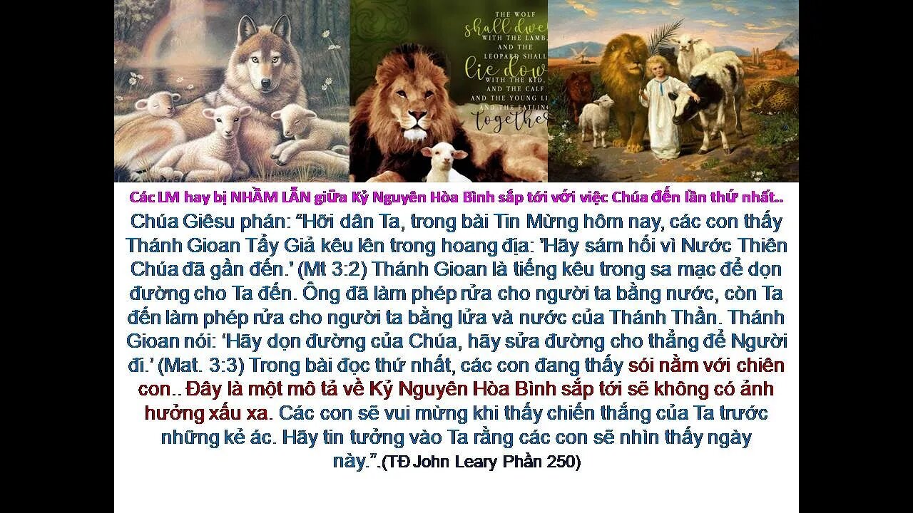 HÃY CHUẨN BỊ TÂM HỒN ĐỂ GẶP CHÚA GIÊSU TRONG CUỘC SOI SÁNG LƯƠNG TÂM ĐÃ GẦN KỀ! Các TĐ JL. P250