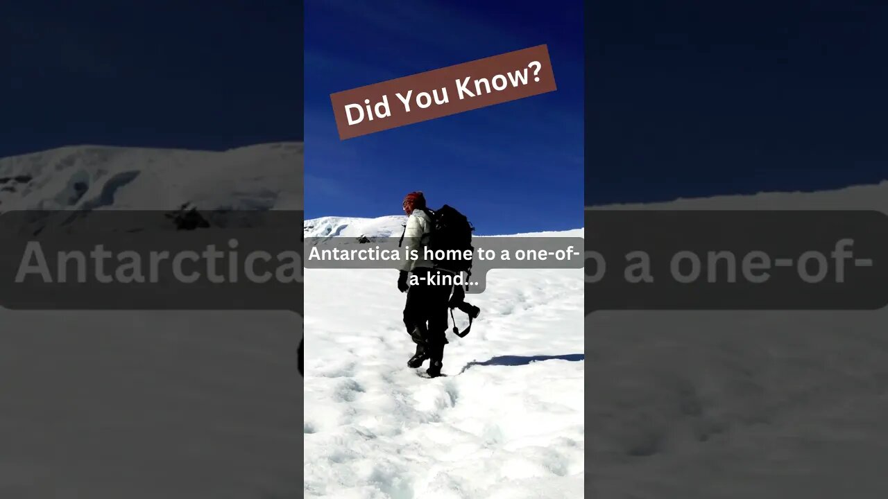 Dry Valleys in Antarctica #creazyland #traveladvice #antarctica #travel