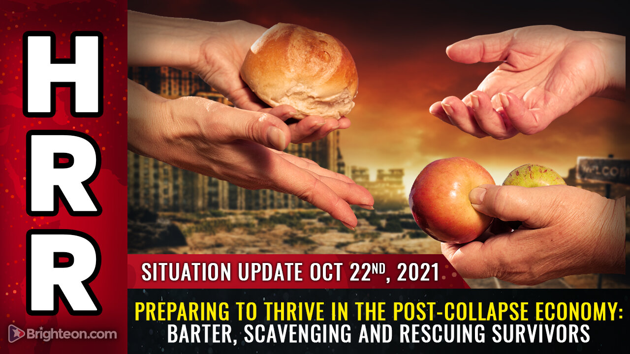 Situation Update, 10/22/21 - Preparing to THRIVE in the post-collapse economy...