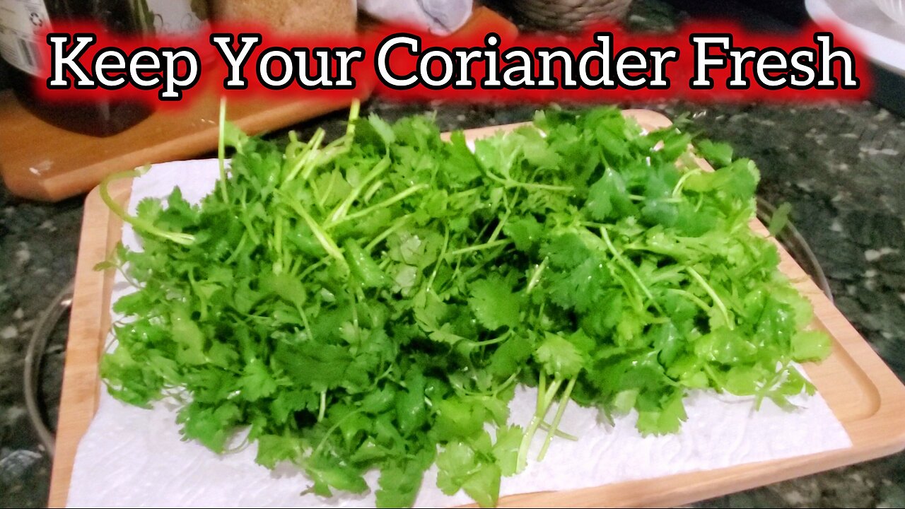 How to store coriander leaves in fridge