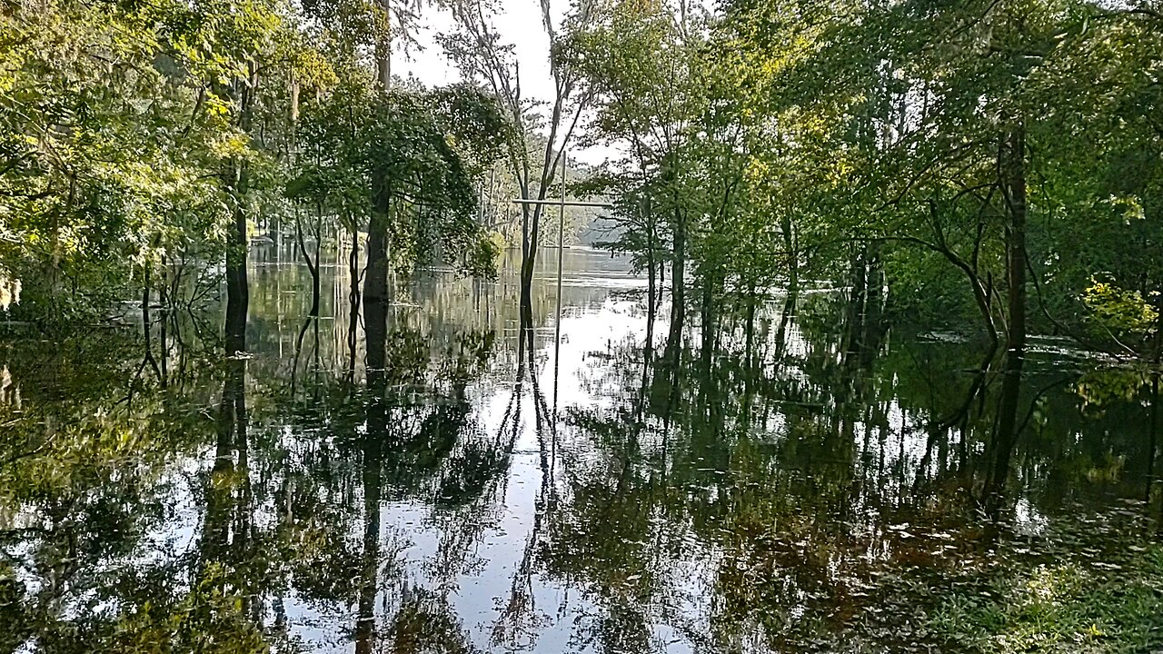 100 yr flood corner of Inchnetucke n Santa Fe River Fl 8/9/24