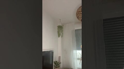 Tiktok Videos | Tavernoftinst | #fyp #short #tiktok #tiktokdance