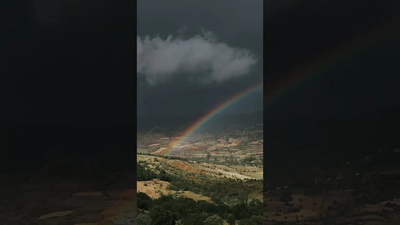 A beautiful 🌈rainbow and 🐦birds chirping in the sky.|| Beauty Of Nature || #viral #shorts #samad