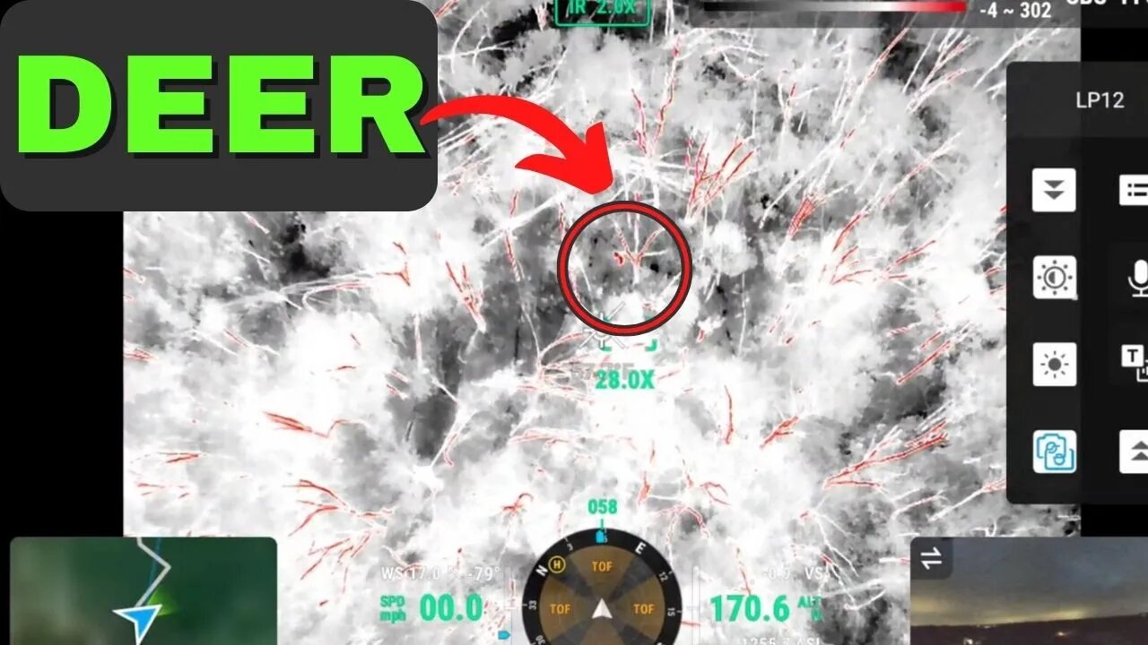 Thermal Drone, Search For Buck 24 Hours After Shot