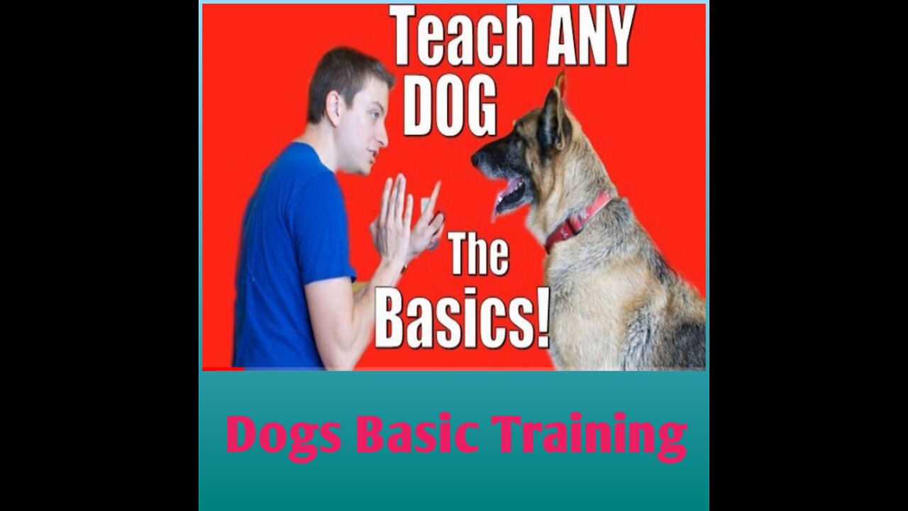 Dog Basic Training