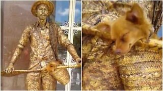 La statua vivente di un uomo e il suo cane