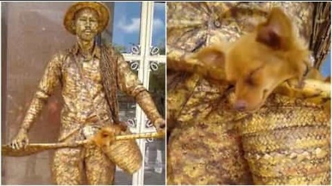 La statua vivente di un uomo e il suo cane