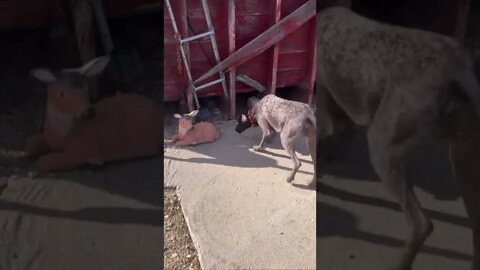 Hey Jimmy, don't you see it too?