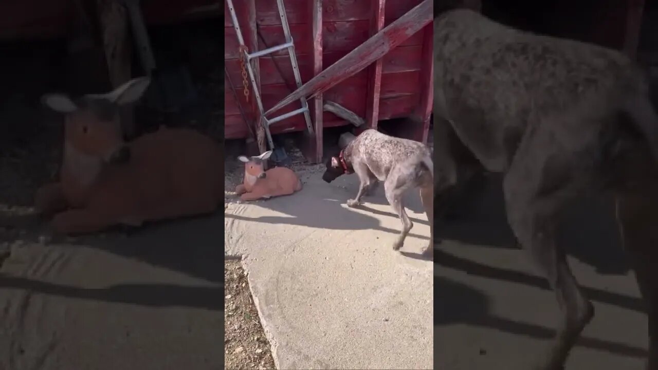 Hey Jimmy, don't you see it too?