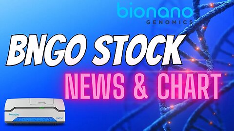 Bngo Stock News & The Start Of The Next Market Cycle