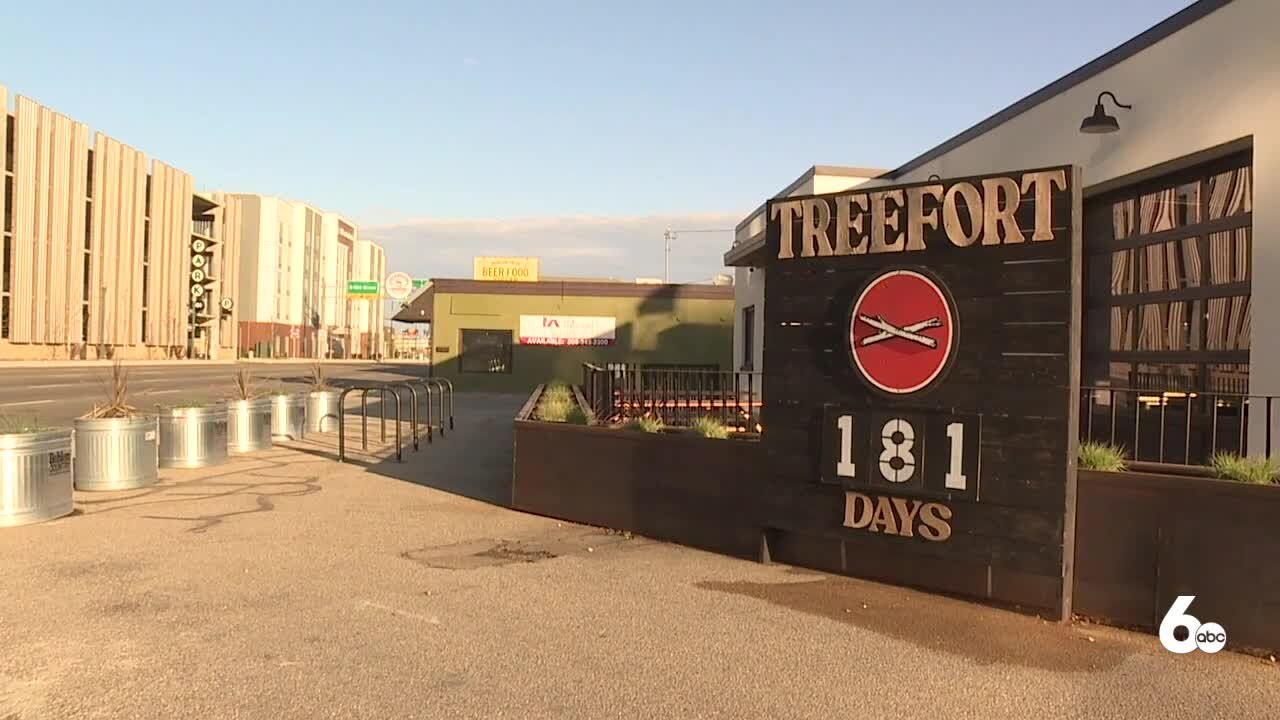 Treefort Music Festival coming back in 2021, timeline released for Treefort 9 and 10