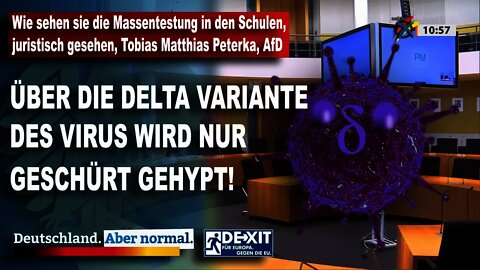 Wie sehen sie die Massentestung in den Schulen, juristisch gesehen, Tobias Matthias Peterka, AfD