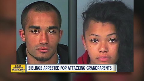 Spring Hill siblings arrested for assaulting grandparents