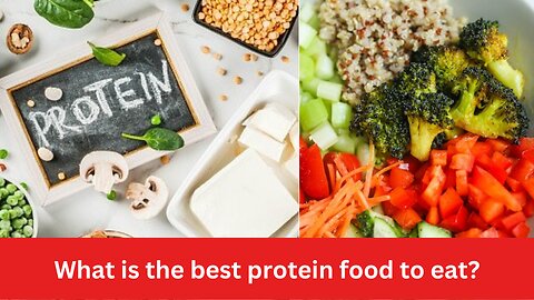 What is the best Protein Food to Eat? - SS Reviews 24