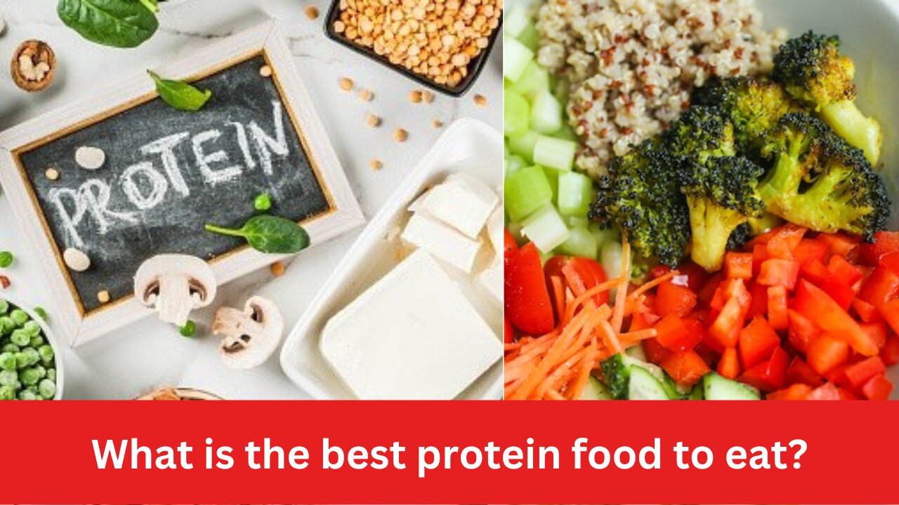 What is the best Protein Food to Eat? - SS Reviews 24