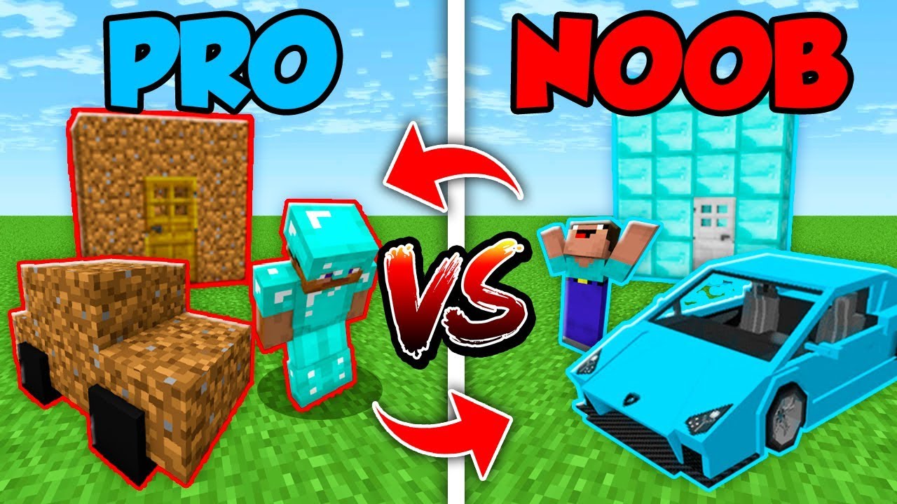 Minecraft NOOB vs PRO