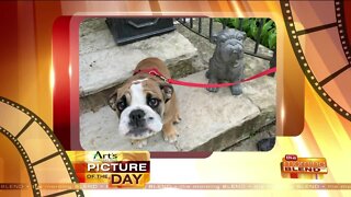 Our Art's Cameras Plus Picture of the Day for June 29!