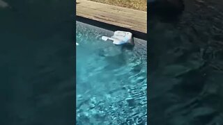 Robô limpador de piscina prático na França! #robot #curiosidades #shorts