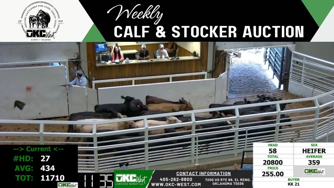 7/18/2023 - OKC West Calf and Stocker Auction