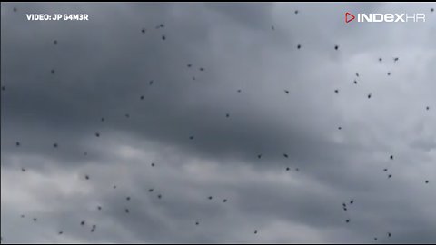 Prizor iz horora: pauci preplavili nebo