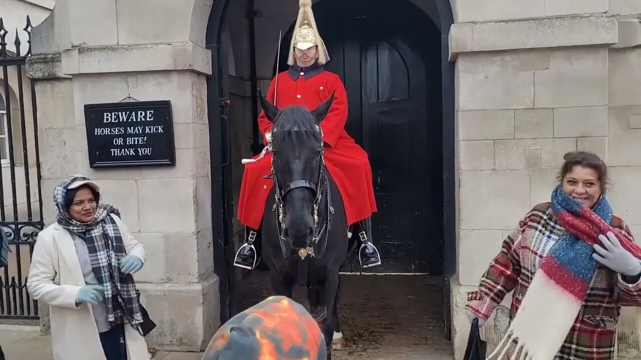 patient guard give polite warings to touching the reins Then shouts at tourist #horseguardsparade