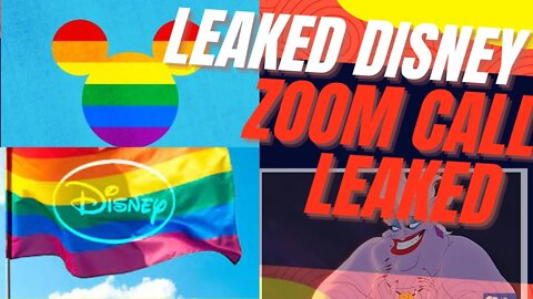 Disney Zoom Call Leaked, Most Characters are now queer!!!!!