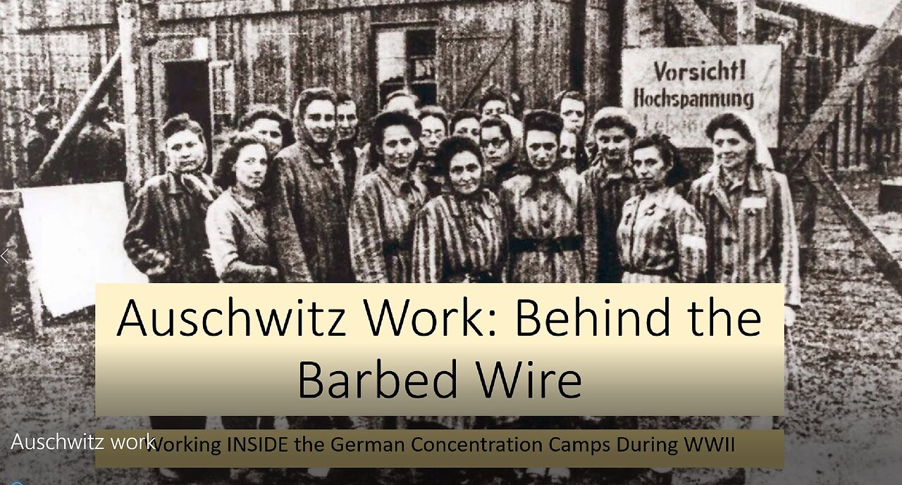 Auschwitz Work: Behind the Barbed Wire